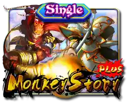 3330_19052025_172138